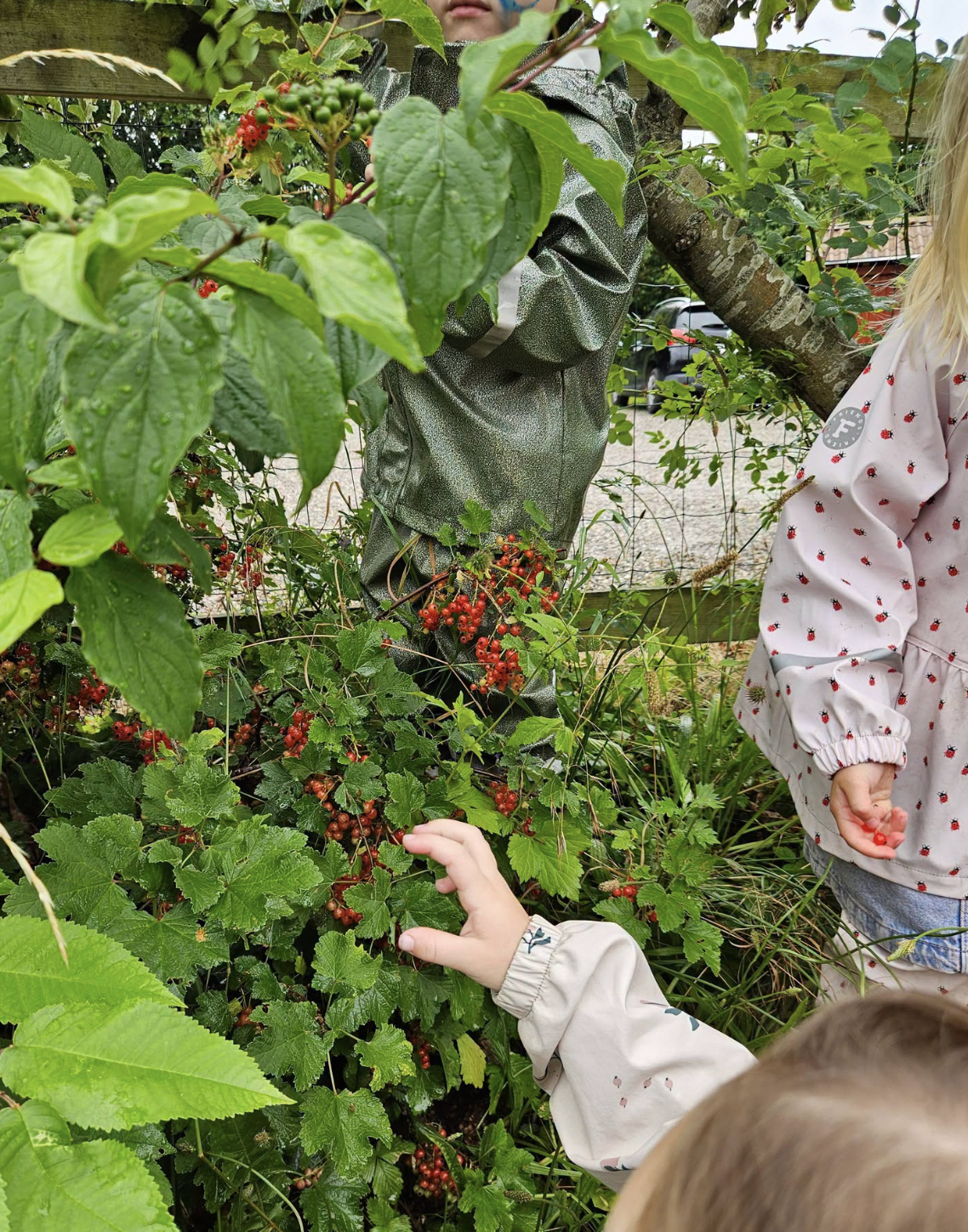 Velkommen tilbage til Kassebøllle – skoleåret 2026 – 2027.